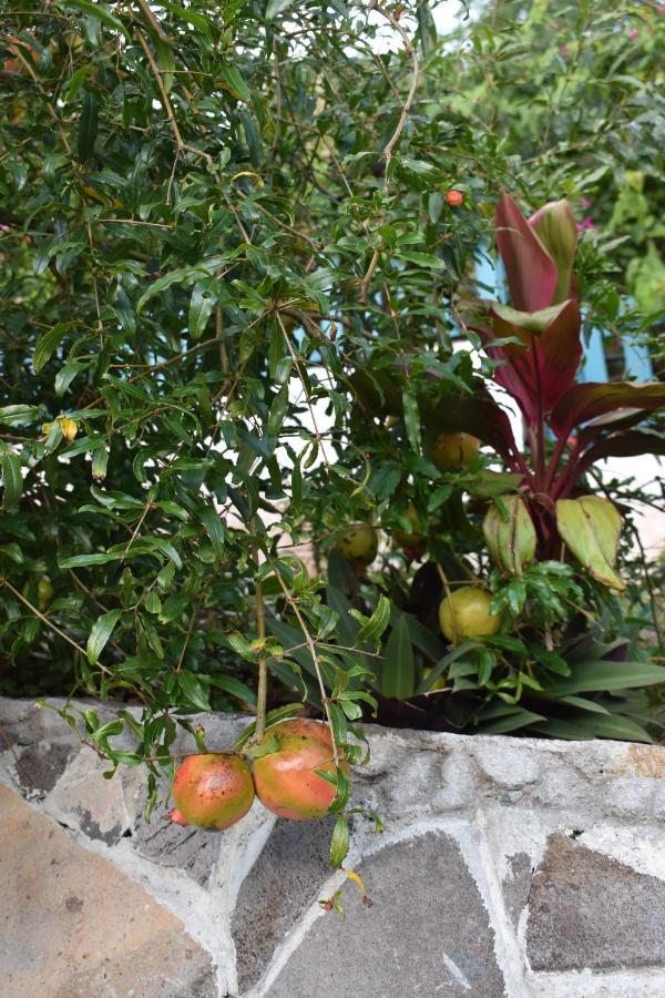 Les Antigones Bed and Breakfast Port Mathurin Exteriör bild