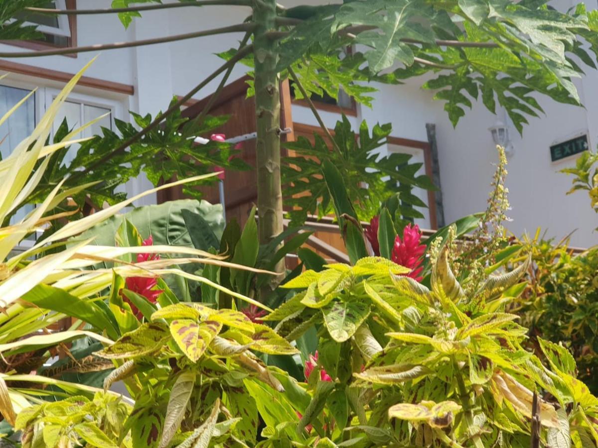 Les Antigones Bed and Breakfast Port Mathurin Exteriör bild